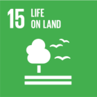 sdg 15. 