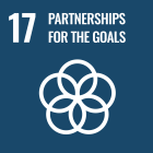 sdg17. 