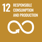 sdg12. 