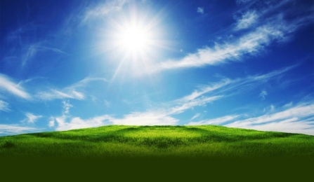 blue sky and sun shining over green grass. 