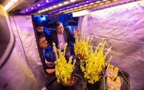 One of UB's distinguished AI scholars, Jinjun Xiong, works in a greenhouse space in Davis Hall to advance the use of AI in indoor farming. 