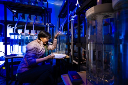 Zoom image: A researcher crouches down in a lab, surrounded by shelves with various containers and pipes with liquid. She records measurements on a clipboard.