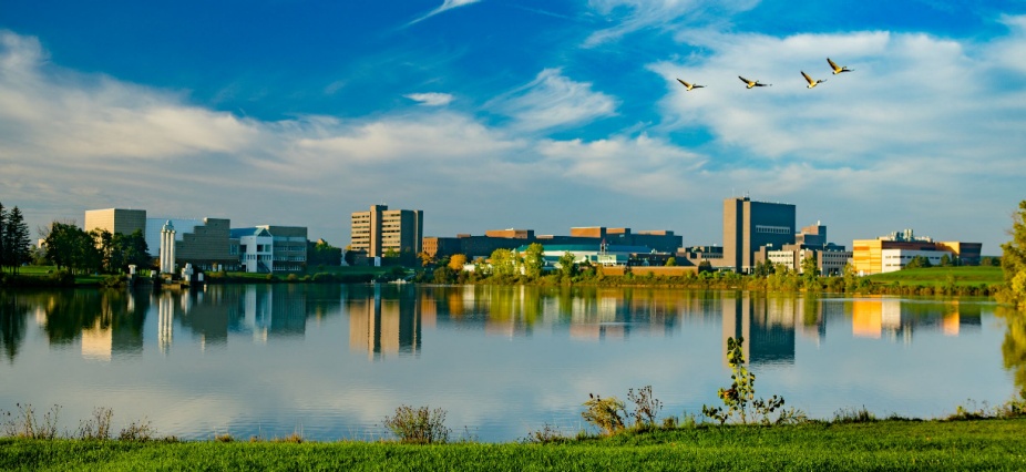 View of UB's North Campus from across Lake LaSalle. 