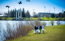 UB Students at a Lake LaSalle cleanup watch some geese flying overhead. 