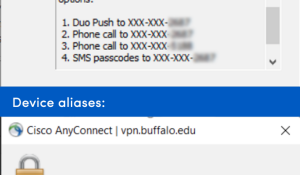 4 or fewer devices (250 characters or less), enter the number of the device you want to use or a passcode. 5 or more (more than 250 characters), enter a passcode or else enter the response for the enrolled device you want to use (e.g., push1 or phone1) Your options may appear different than those shown, depending what applications you enrolled in Duo. 