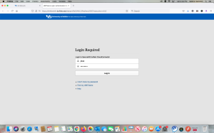 authenticate with your UBITName and UBITName password. 