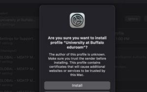 Click Install. 