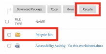 Recycle button and Recycle Bin in Course Content window. 