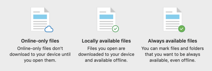 Online-only files have a cloud next to them. Locally available files show a white circle with a green checkmark. File available online and offline are indicated with a green circle and a white checkmark. 