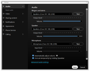 Zoom image: Select Audio and adjust settings as desired.