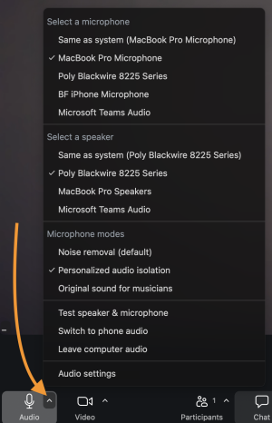 Audio settings. 