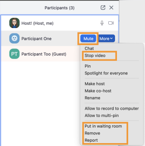Participants options. 