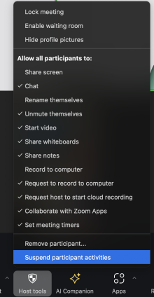 Suspend participant activities screenshot. 