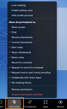Security tab in the Zoom client. 