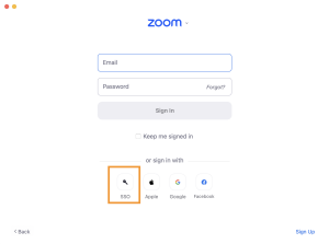 Zoom image: SSO button