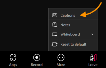 use Caption setting in Zoom. 