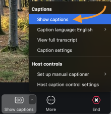 Attendees can click Show captions. 