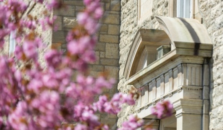 Blooms on a tree in the foreground with a building in the background on UB's South Campus. 